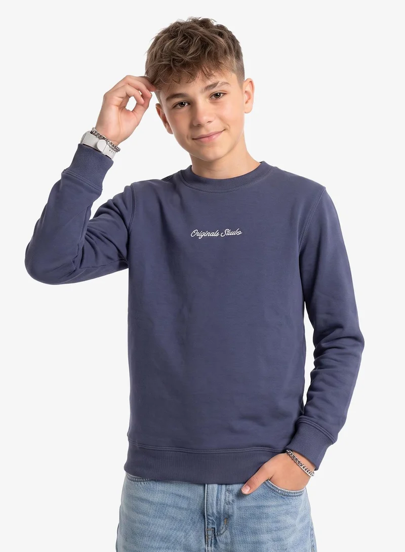 Jack & Jones Junior Youth Embroidered Crew Neck Sweatshirt