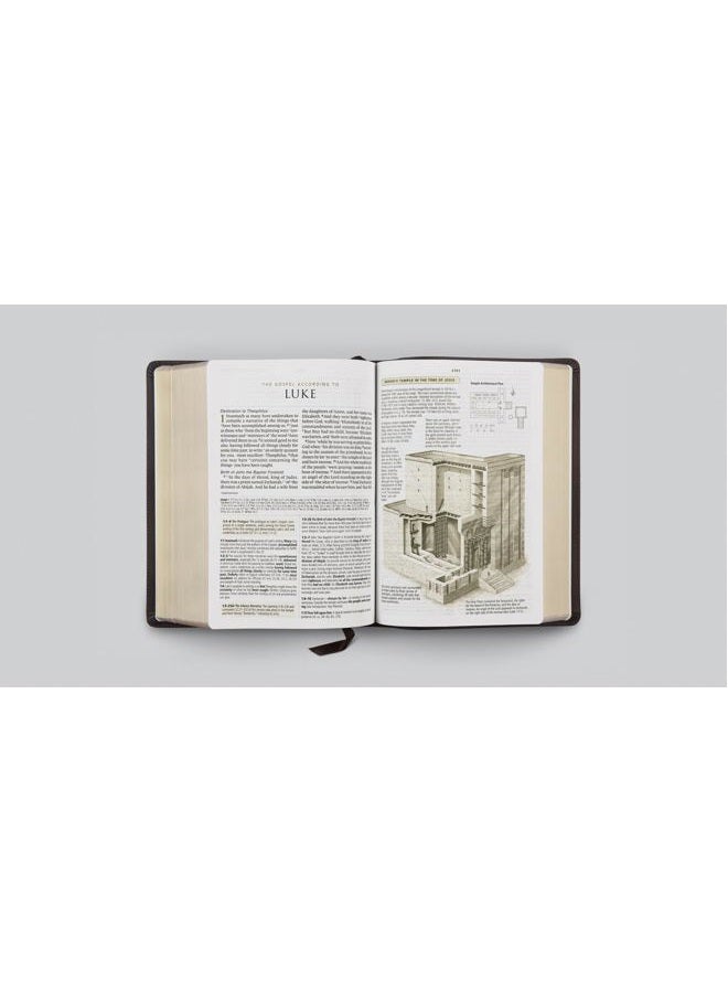 Crossway ESV Study Bible, Large Print (Buffalo Leather, Deep Brown) - Image 3