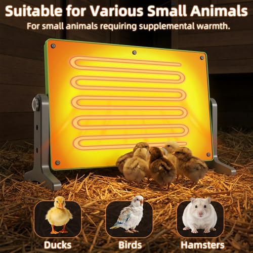 fuzzy-bird Fuzzy Bird Chick Brooder (12''*8'') Brooder Heater for Chicks Ducks and Birds Incubation Heating Keep Chicks Warm Newly Upgraded Temperature Adjustable Height Adjustable Chick Heating Plate - Green - Image 5