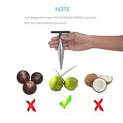 Ramkuwar with device of R Ramkuwar Stainless Steel Coconut Opener Tool with Comfortable Grip Safe Coconut Driller for Easy Opening (1 Piece) - Image 5
