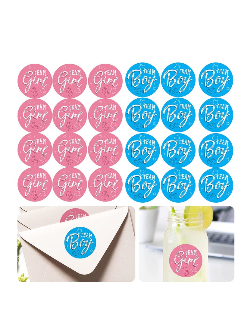 Excefore ملصقات الكشف عن الجنس، 480 قطعة ملصقات حفلة استقبال المولود مع حروف فضية لامعة، ملصقات فريق ولد أو فريق بنت لزينة الكشف عن جنس الطفل وملصقات حفلة استقبال المولود - Image 1