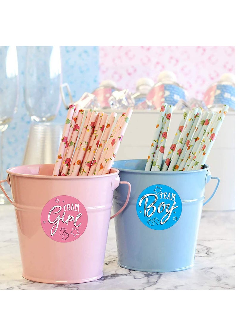 Excefore ملصقات الكشف عن الجنس، 480 قطعة ملصقات حفلة استقبال المولود مع حروف فضية لامعة، ملصقات فريق ولد أو فريق بنت لزينة الكشف عن جنس الطفل وملصقات حفلة استقبال المولود - Image 5