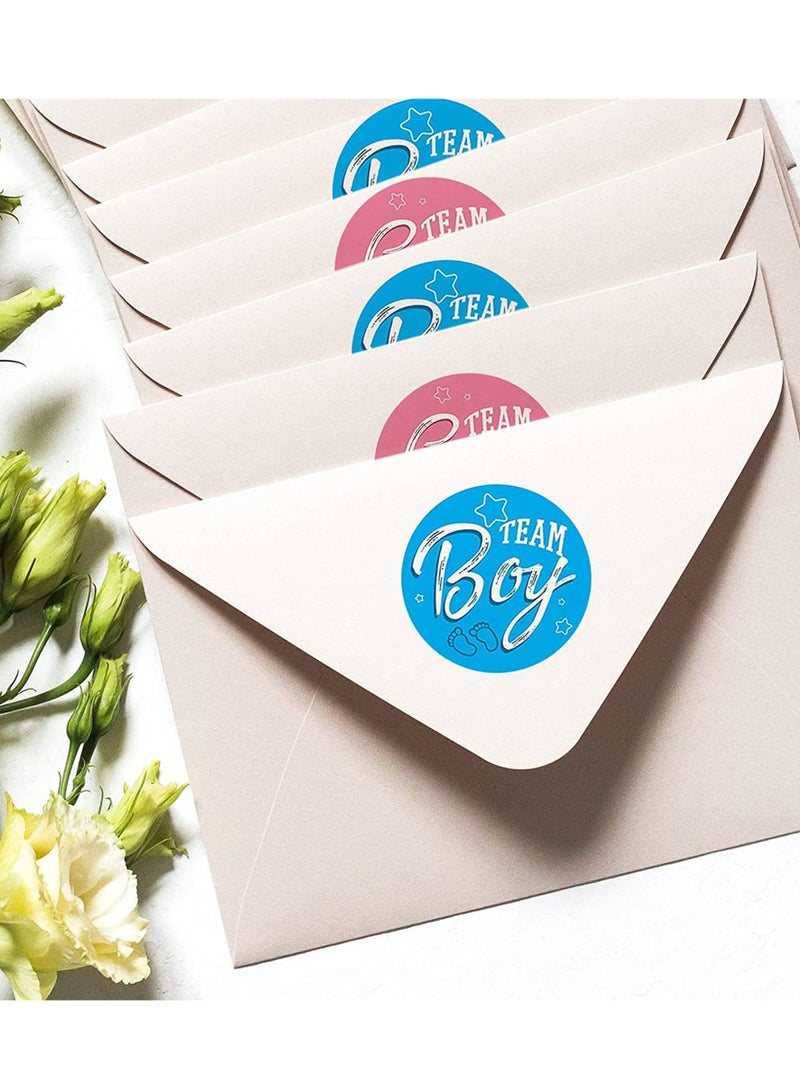 Excefore ملصقات الكشف عن الجنس، 480 قطعة ملصقات حفلة استقبال المولود مع حروف فضية لامعة، ملصقات فريق ولد أو فريق بنت لزينة الكشف عن جنس الطفل وملصقات حفلة استقبال المولود - Image 4
