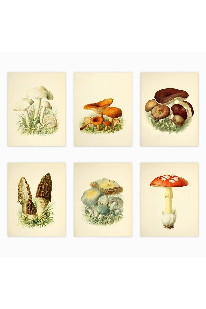 LIYAOLI Vintage Botanical Wall Art Prints Posters for Room Aesthetic, 8X10 Inch Unframed Plant Poster Set of 6 Mushroom Cottagecore Room Decor - Image 1