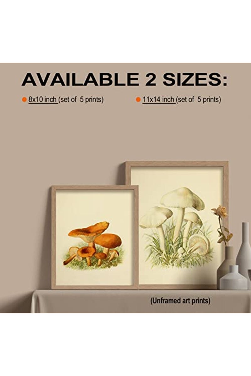 LIYAOLI Vintage Botanical Wall Art Prints Posters for Room Aesthetic, 8X10 Inch Unframed Plant Poster Set of 6 Mushroom Cottagecore Room Decor - Image 4