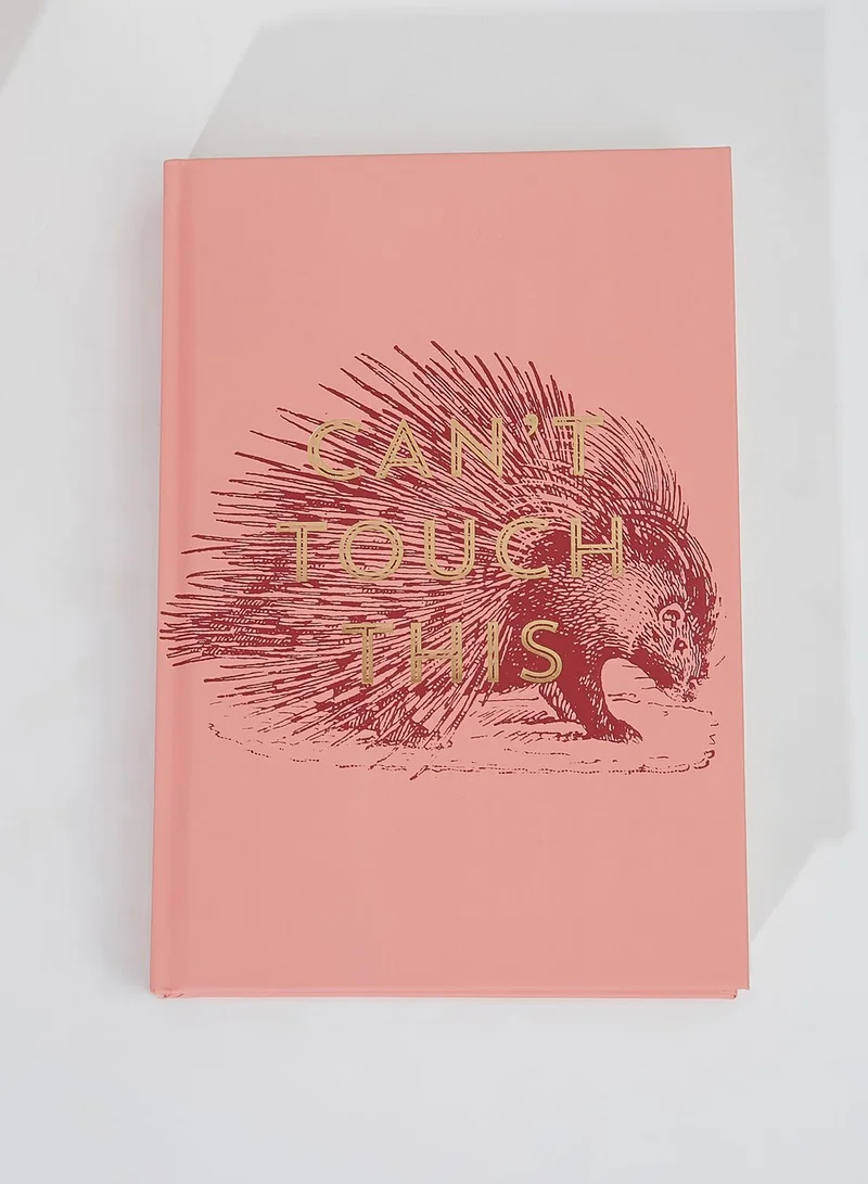 DesignWorks Ink Vintage Sass Can't Touch This Notebook