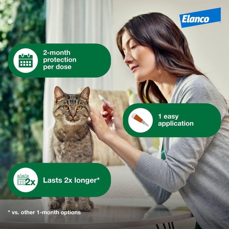 Advantage XD Large Cat Flea Prevention & Treatment For Cats over 9lbs. | 2-Topical Doses, 2-Months of Protection Per Dose - Image 5