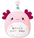 SQEQE Happy Birthday Axolotl Plush Axolotl Stuffed Animal Toy Pink Birthday Plushies Home Decor for Girls Boys Kids14 Inch - Image 2