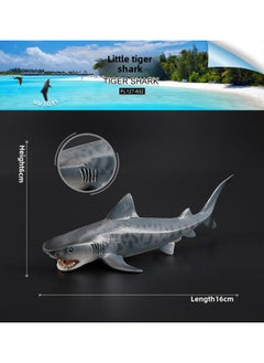 Simulation Ocean Model Animal Set Great White Shark Megalodon Dolphin Shark Toy Children Solid Plastic Ornaments-Color:PL127-632 Little Tiger Shark