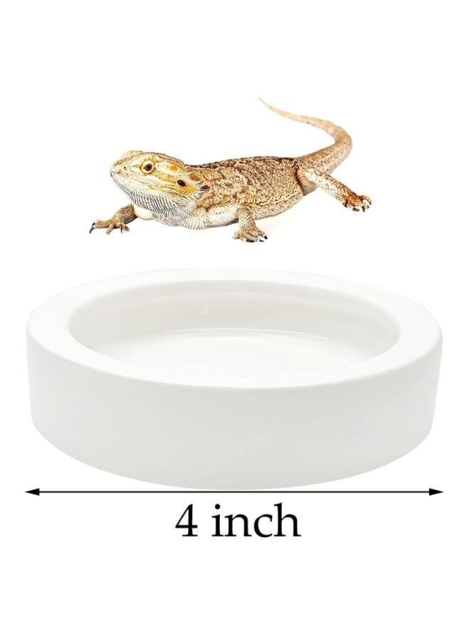 وعاء طعام الزواحف مصنوع من السيراميك، وعاء تغذية مياه صغير مضاد للهروب، وعاء تغذية زواحف صغير للسحالي، والوزغ، وما إلى ذلك، دائري أبيض 13 × 2.8 سم - Image 2