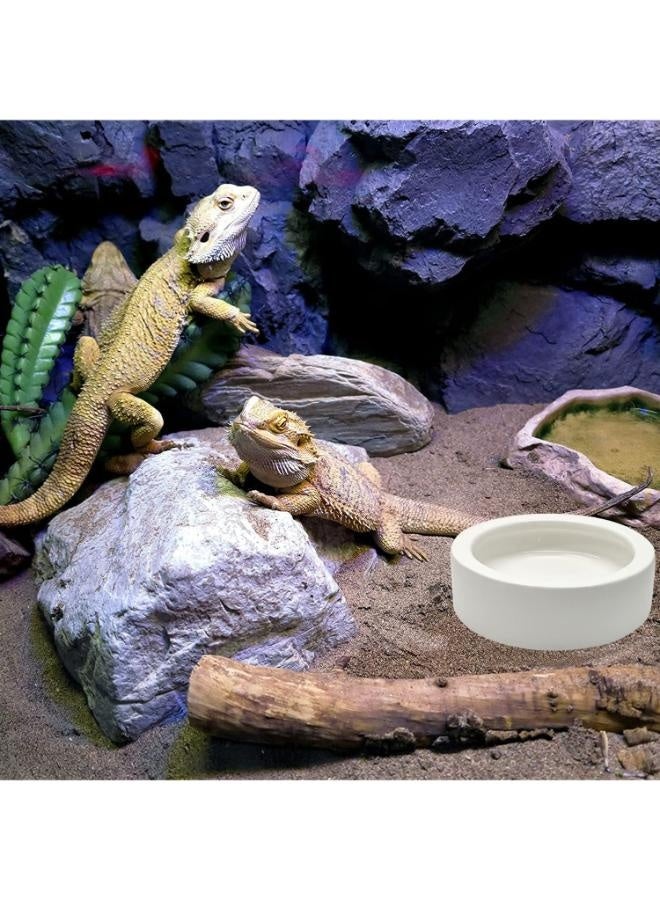 وعاء طعام الزواحف مصنوع من السيراميك، وعاء تغذية مياه صغير مضاد للهروب، وعاء تغذية زواحف صغير للسحالي، والوزغ، وما إلى ذلك، دائري أبيض 13 × 2.8 سم - Image 5