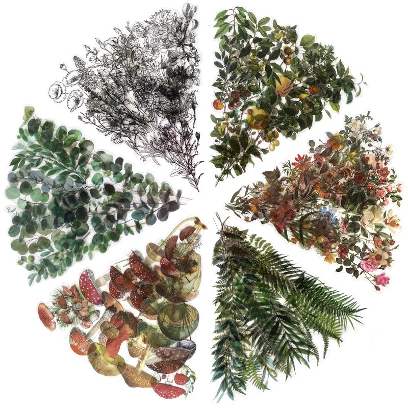 Big Size Plants Waterproof Stickers Set  Maxleaf 240PCS Vintage PET Plants Flowers Mushroom Fern Leaves Shaped Stickers for Art Journaling Planners Scrapbook Laptops Plants Diary Natural Collection