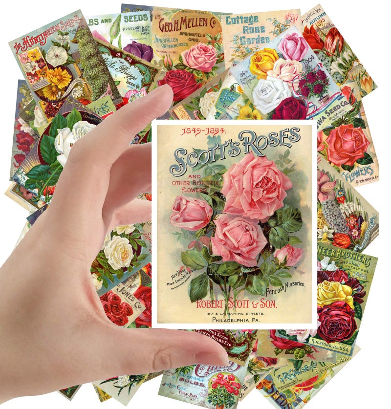Large Stickers 24 pcs 25x35 Flowers Vintage Seed Pockets Gardens and Roses