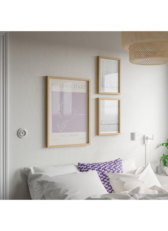 Zaboon - Frame with poster, Paix Lineaire, 50x70 cm - Image 1