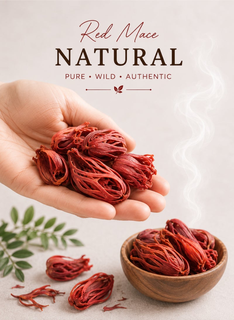 Zahr Red Mace – High Quality, High Grade, 100% Pure, Natural, Hand-Sorted | Premium Red Mace Flower (Javitri / Basbasa / Bzourat Jawzat Al Teeb) | Botanical Herb for Gardening, Horticulture & Herbal Projects - Image 3