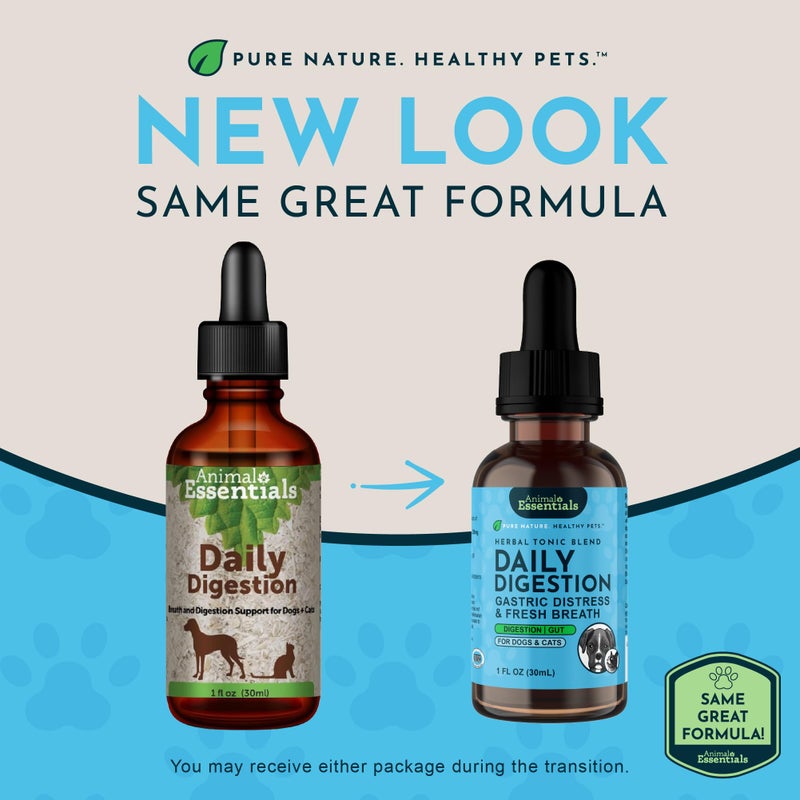 Animal Essentials أساسيات الحيوانات هضم يومي للكلاب والقطط - دعم هضمي، نفس منعش، جذر زنجبيل، مستخلص بذور الشمر، مكمل سائل - 1 أونصة سائلة - Image 2