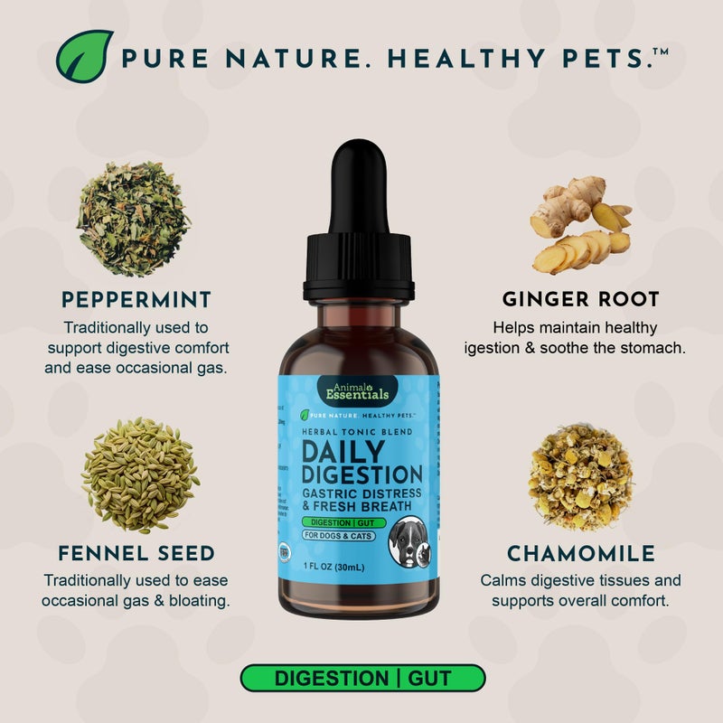 Animal Essentials أساسيات الحيوانات هضم يومي للكلاب والقطط - دعم هضمي، نفس منعش، جذر زنجبيل، مستخلص بذور الشمر، مكمل سائل - 1 أونصة سائلة - Image 4