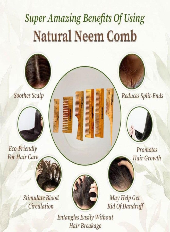 Anoothee Kacchi Neem Wooden lily comb, Infuse it with your choice of oil & herb- Detangling Suited For Long & Thick Hair & styling -Pack of 1 - Image 4