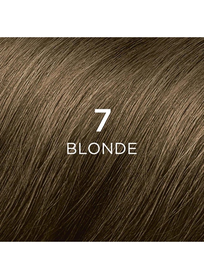 Phyto صبغة شعر طبيعية دائمة من فيتو فيتوكولور 7 أشقر مع أصباغ نباتية - Image 2