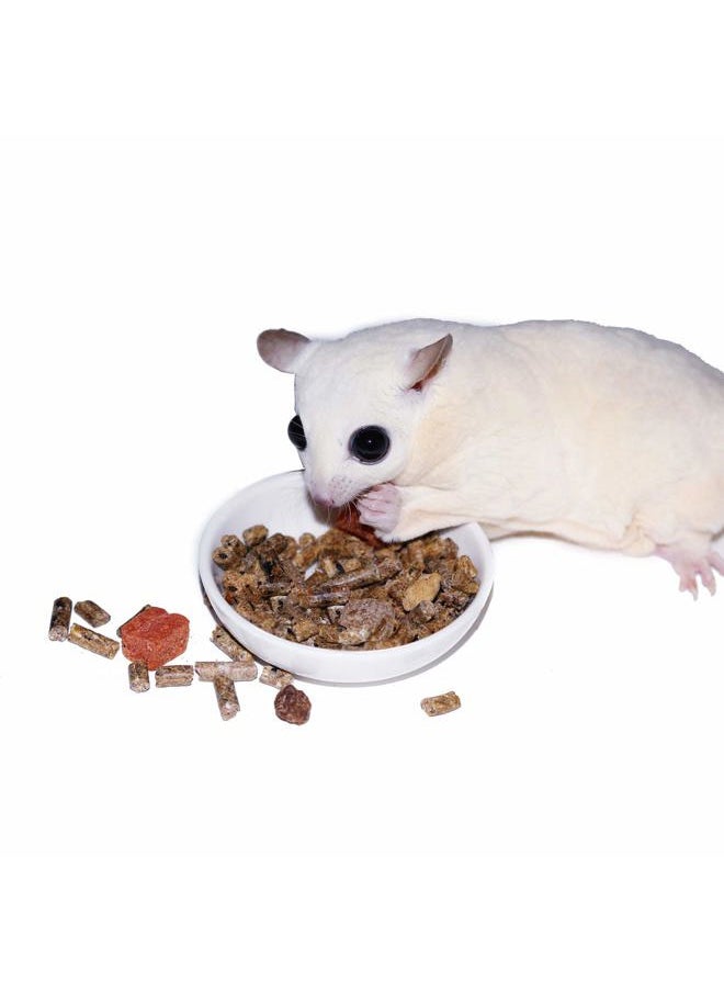 EXOTIC NUTRITION Glider Complete - Healthy High Protein Nutritionally Complete Staple Diet Sugar Glider Food (2 lb)  - Image 5