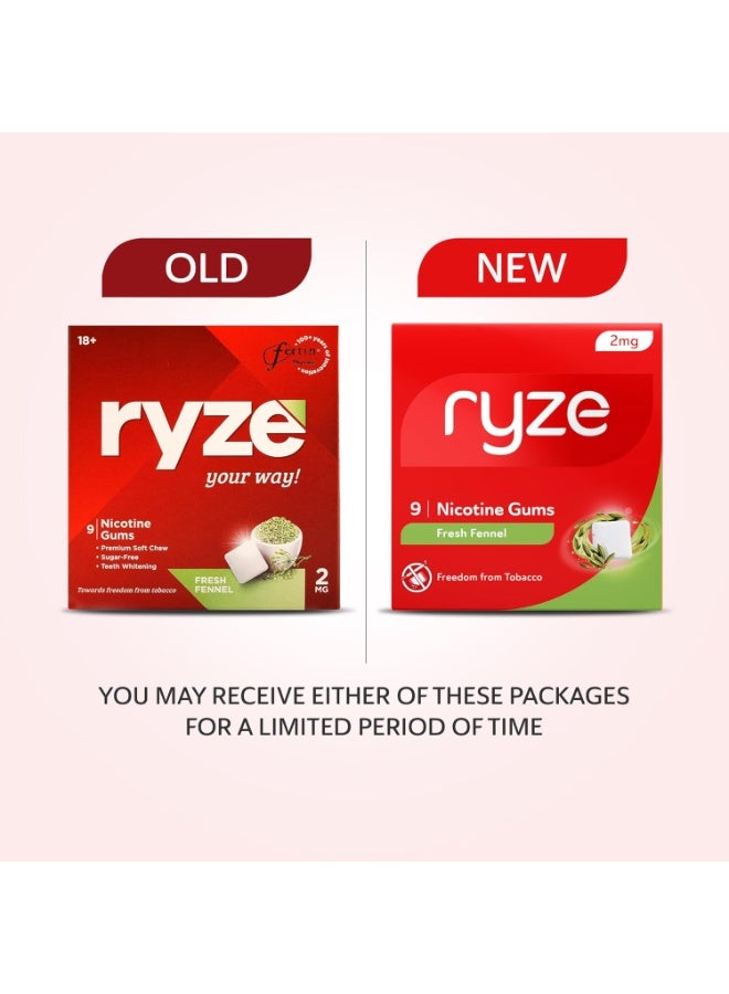 رايز علكة رايز نيكوتين ٢ ملغ | عبوة من ١٠ قطع (٩٠ علكة) | بنكهة الشمر المنعشة | التخلص من التدخين والتبغ | لطيفة على الحلق | خالية من السكر | تبييض الأسنان - Image 3