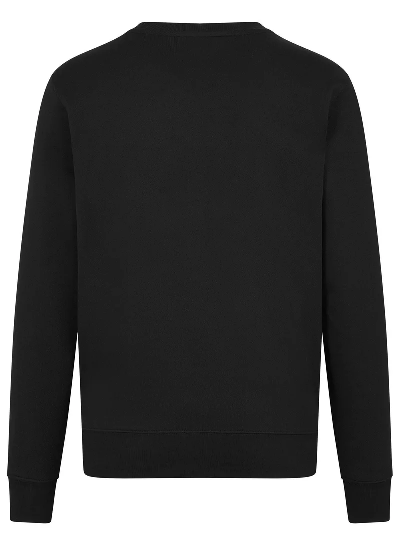 AMG Petronas Formula 1 Team  Mercedes-AMG F1 Lewis Hamilton Sweater for Men | Best Price UAE