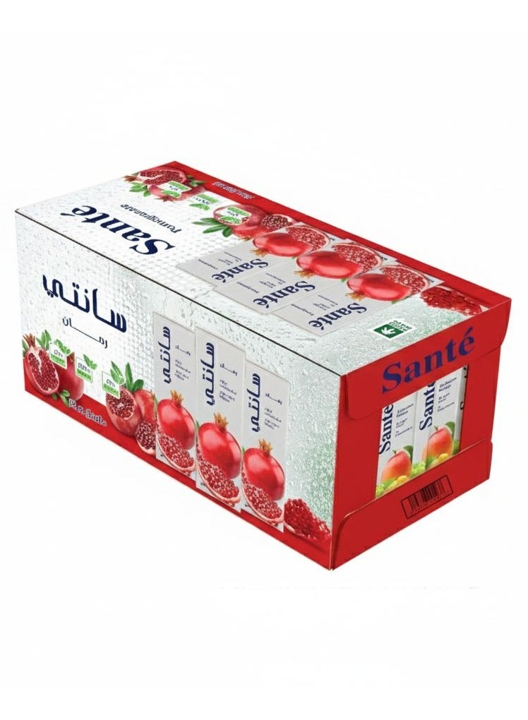 Santè Zero Sugar Premium Pomegranate Juice 200mlx24 - Image 1