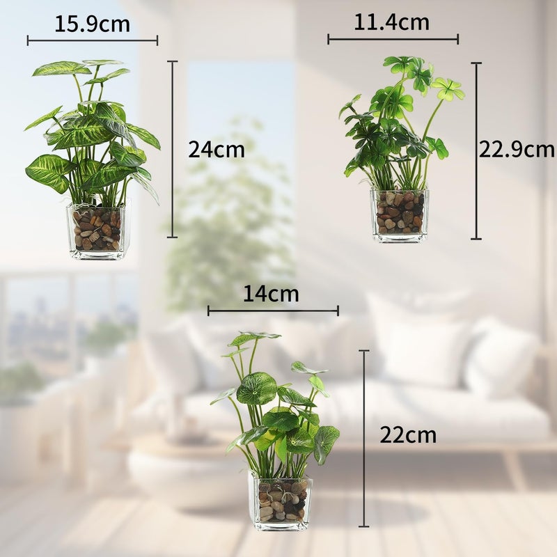 Angju Set of 3 Small Fake Plants, Artificial Faux Potted Plants Indoor in Square Clear Glass Pot, Faux Plant Decor for Room, Decorative Potted Greenery Plant in Tabletop Planter - Image 5