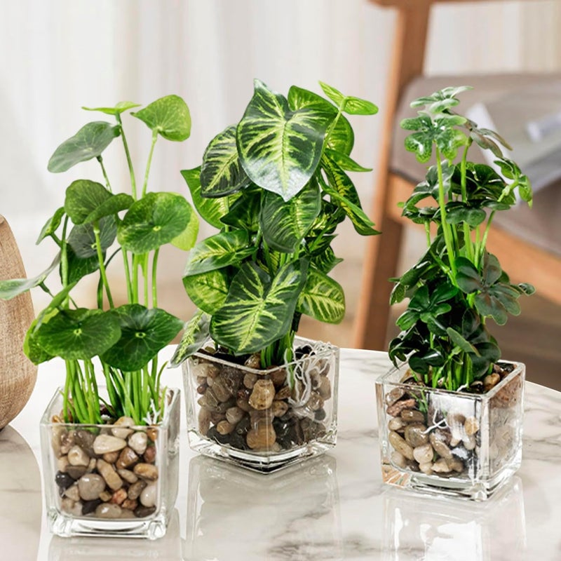 Angju Set of 3 Small Fake Plants, Artificial Faux Potted Plants Indoor in Square Clear Glass Pot, Faux Plant Decor for Room, Decorative Potted Greenery Plant in Tabletop Planter - Image 3