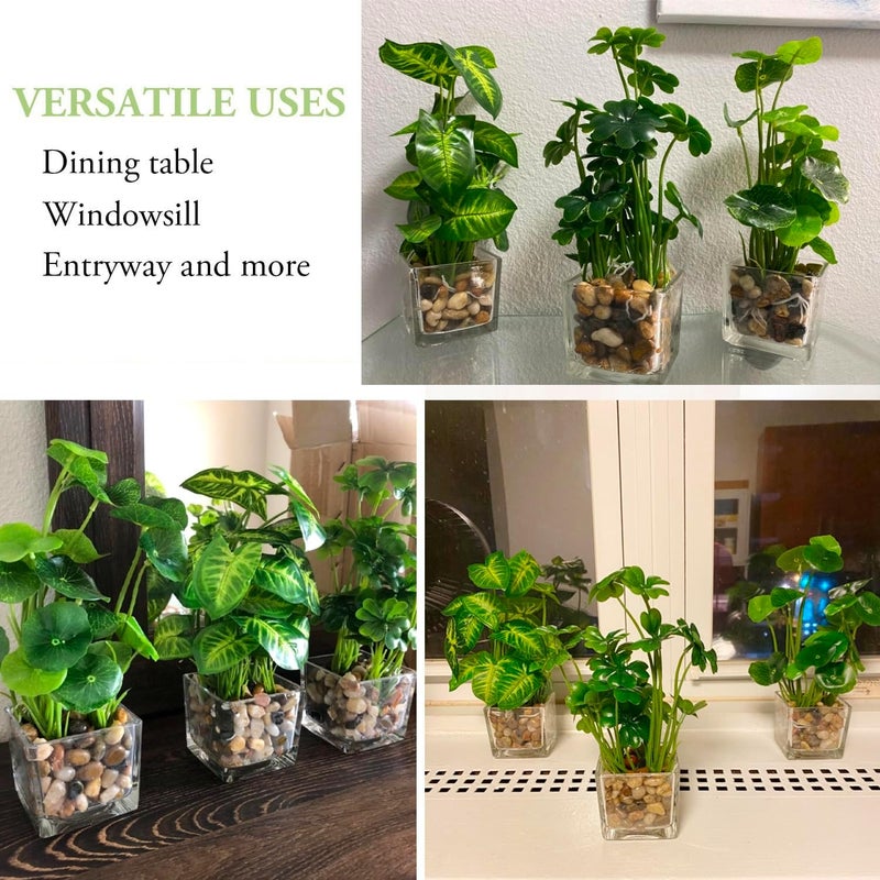 Angju Set of 3 Small Fake Plants, Artificial Faux Potted Plants Indoor in Square Clear Glass Pot, Faux Plant Decor for Room, Decorative Potted Greenery Plant in Tabletop Planter - Image 4