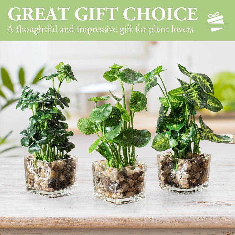Angju Set of 3 Small Fake Plants, Artificial Faux Potted Plants Indoor in Square Clear Glass Pot, Faux Plant Decor for Room, Decorative Potted Greenery Plant in Tabletop Planter - Image 2
