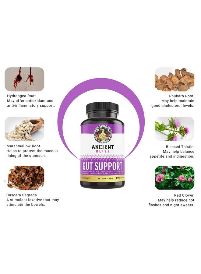 Ancient Bliss Leaky Gut Supplement, L Glutamine Capsules for Gut Support with Blessed Thistle and Hydrangea Root, Vegan and Non-GMO, 60 Capsules - Image 3