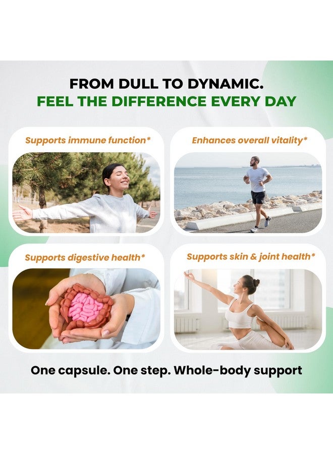 أعشاب فائقة كبسولات الطحالب البحرية العضوية مع زيت حبة البركة، والأشواغاندا، وجذر الأرقطيون، ونبات الطحالب البحرية، للجهاز المناعي، والأمعاء، والبشرة، والطاقة *صنع في الولايات المتحدة الأمريكية واختباره* (150 كبسولة (عبوة من 1)) - Image 4