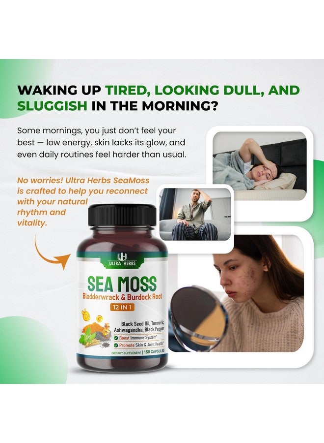 أعشاب فائقة كبسولات الطحالب البحرية العضوية مع زيت حبة البركة، والأشواغاندا، وجذر الأرقطيون، ونبات الطحالب البحرية، للجهاز المناعي، والأمعاء، والبشرة، والطاقة *صنع في الولايات المتحدة الأمريكية واختباره* (150 كبسولة (عبوة من 1)) - Image 2