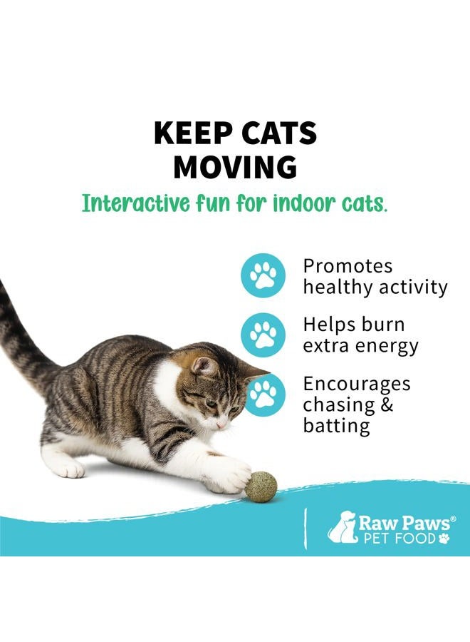 Raw Paws Catnip Balls, 6 ct - Interactive Cat Toy for Indoor Cats - Cat Ball Toy - Kitten Toys - Cat Nip Ball Cat Toy - Cat Lick Ball - Cat Nip Cat Toys - Natural Catnip Ball for Cats of All Breeds - Image 4