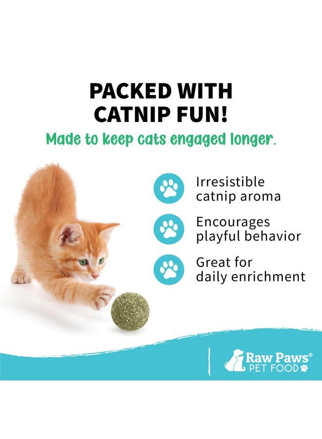 Raw Paws Catnip Balls, 6 ct - Interactive Cat Toy for Indoor Cats - Cat Ball Toy - Kitten Toys - Cat Nip Ball Cat Toy - Cat Lick Ball - Cat Nip Cat Toys - Natural Catnip Ball for Cats of All Breeds - Image 3