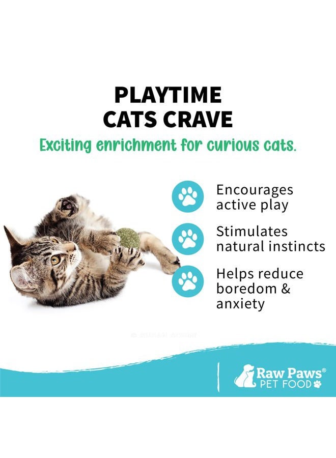 Raw Paws Catnip Balls, 6 ct - Interactive Cat Toy for Indoor Cats - Cat Ball Toy - Kitten Toys - Cat Nip Ball Cat Toy - Cat Lick Ball - Cat Nip Cat Toys - Natural Catnip Ball for Cats of All Breeds - Image 2