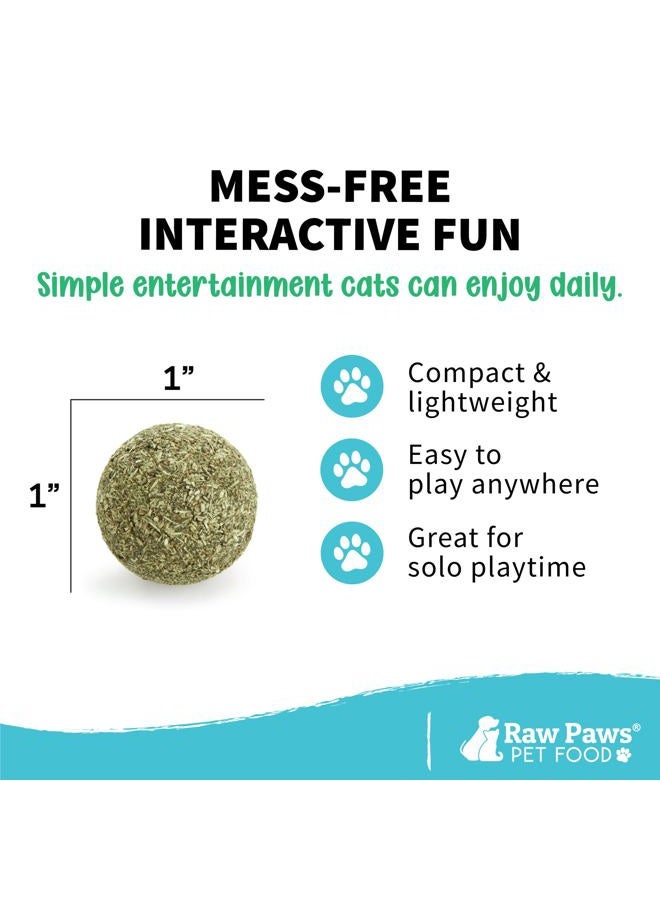 Raw Paws Catnip Balls, 6 ct - Interactive Cat Toy for Indoor Cats - Cat Ball Toy - Kitten Toys - Cat Nip Ball Cat Toy - Cat Lick Ball - Cat Nip Cat Toys - Natural Catnip Ball for Cats of All Breeds - Image 5