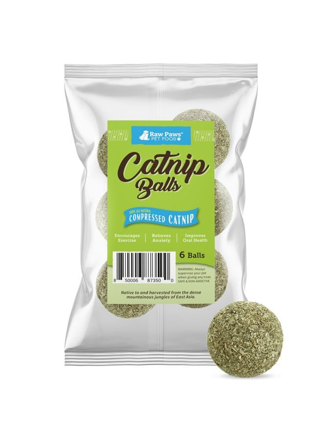 Raw Paws Catnip Balls, 6 ct - Interactive Cat Toy for Indoor Cats - Cat Ball Toy - Kitten Toys - Cat Nip Ball Cat Toy - Cat Lick Ball - Cat Nip Cat Toys - Natural Catnip Ball for Cats of All Breeds - Image 1