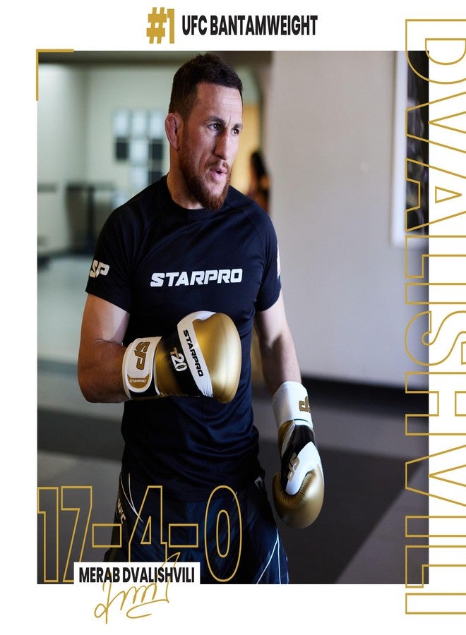 Starpro Boxing Gloves with Wrist Support & Protection Sparring Training Bag Gloves for Men & Women 8oz 10oz 12oz 14oz 16oz - Image 3