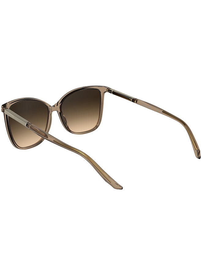 CALVIN KLEIN نظارات شمسية كاملة الإطار من كالفن كلاين CK25504S 5715 (618) شفافة الطوب - Image 2