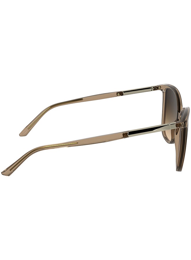 CALVIN KLEIN نظارات شمسية كاملة الإطار من كالفن كلاين CK25504S 5715 (618) شفافة الطوب - Image 5