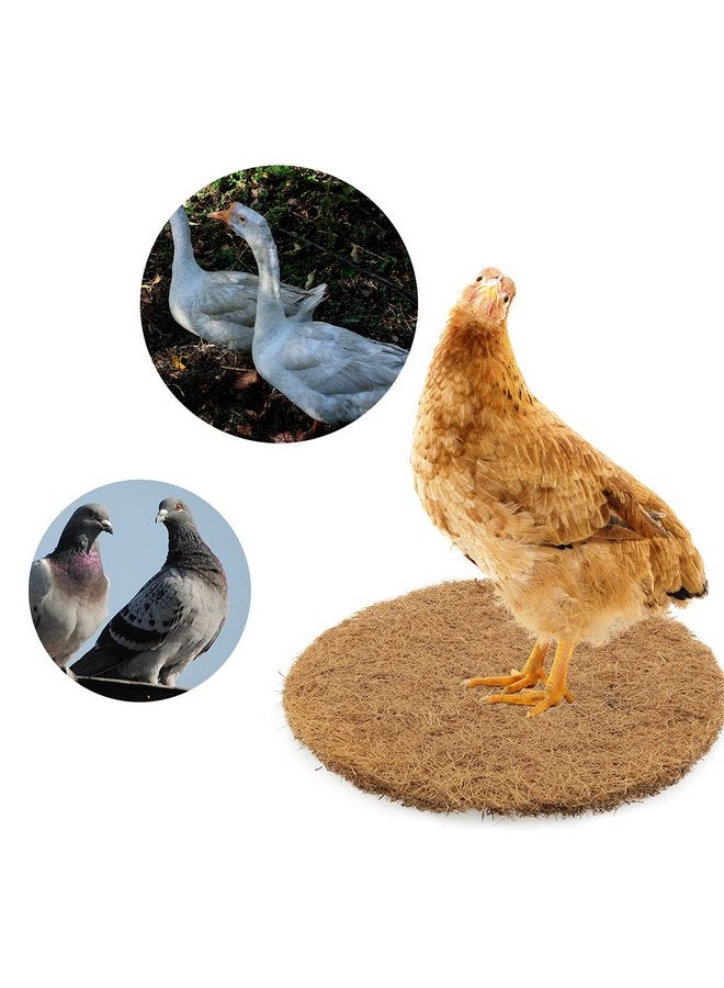 DGHAOP DGHAOP 4pcs Breathable Dry Grass Mattress 215x10mm Bird Nesting Pads Natural Fiber Parrots Breeding Nests Bird Eggs Mat for Birds  - Image 4