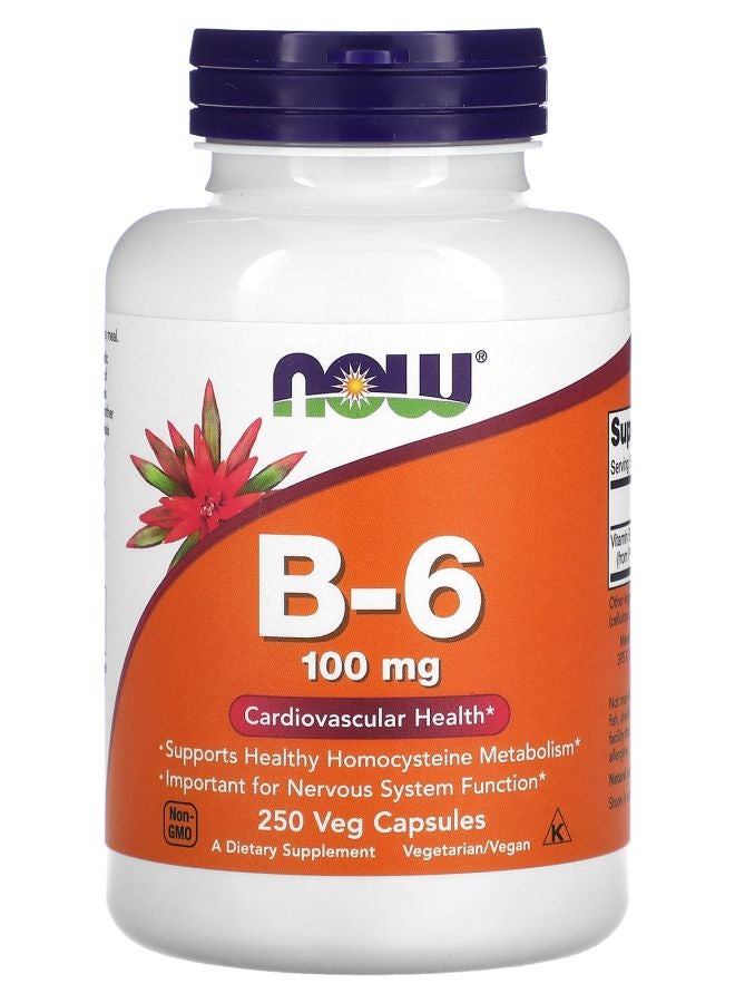 now B-6 100 mg 250 Veg Capsules