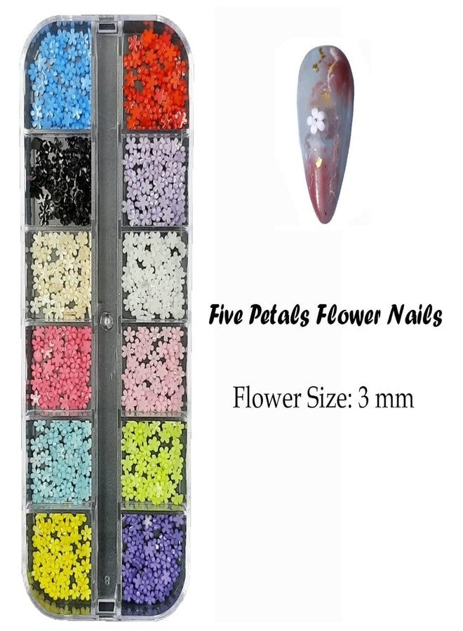 Gold Max Nail Art Palette Five Petal Small Flower Decorations, 12 Grids Box Resin - Image 3
