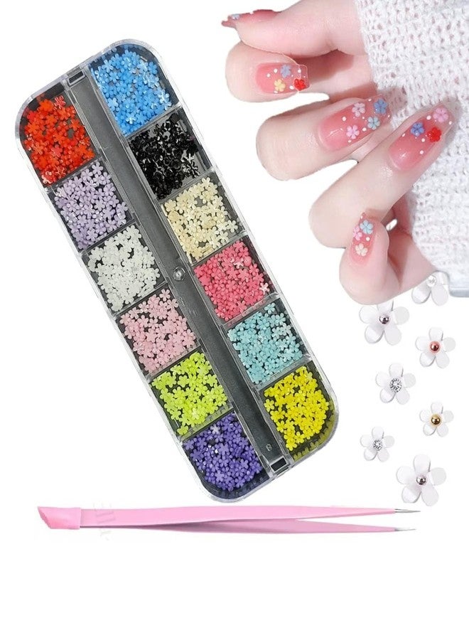 Gold Max Nail Art Palette Five Petal Small Flower Decorations, 12 Grids Box Resin - Image 1