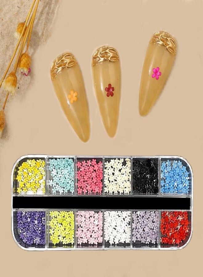 Gold Max Nail Art Palette Five Petal Small Flower Decorations, 12 Grids Box Resin - Image 4