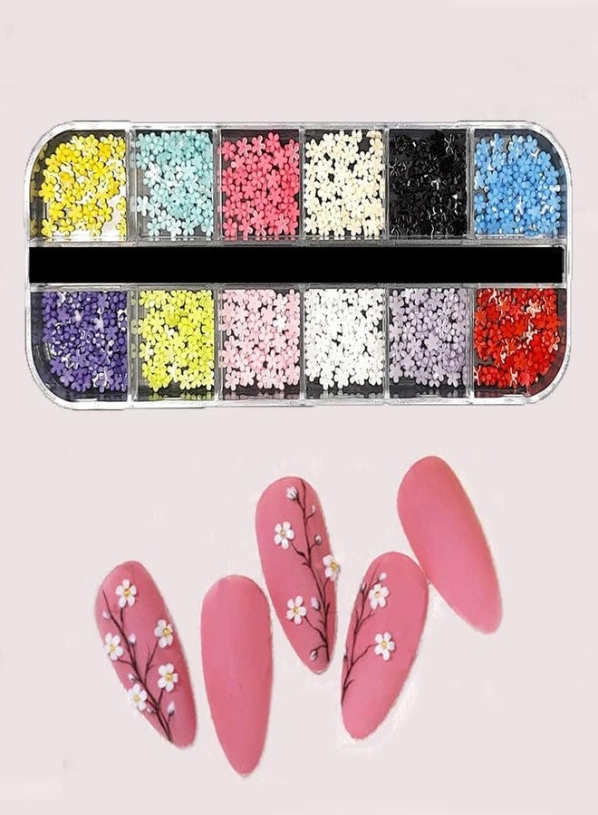 Gold Max Nail Art Palette Five Petal Small Flower Decorations, 12 Grids Box Resin - Image 2