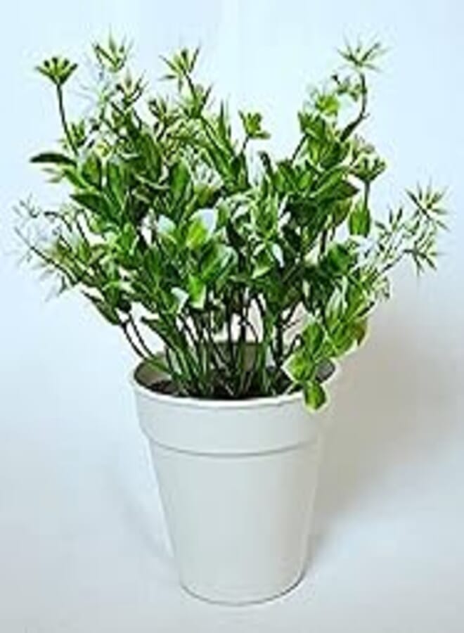 OR Artificial Flowers and Plants - 20-23cm