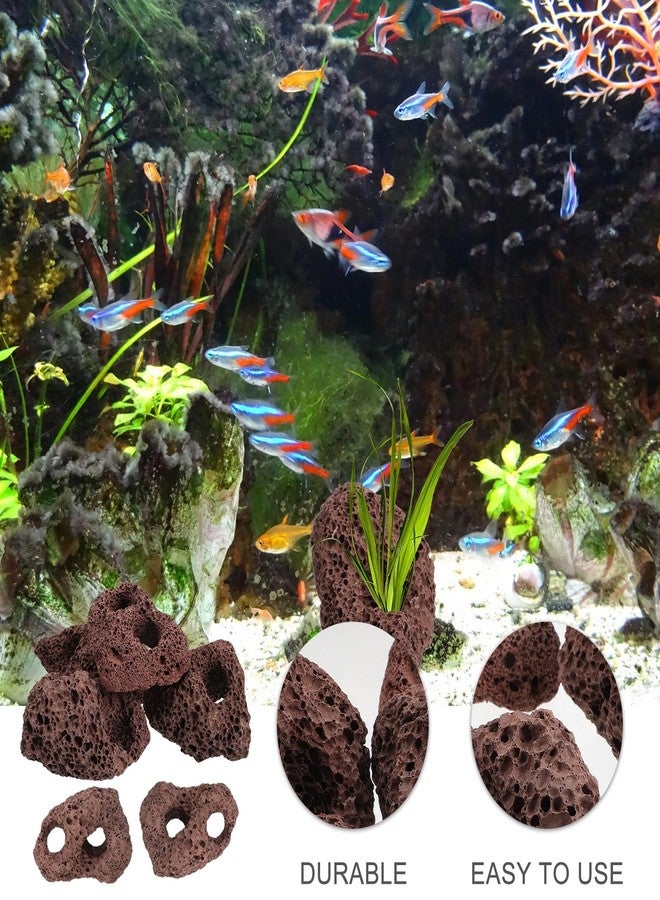 Yardwe Aquarium Rocks Volcanic Rocks 6Pcs Decorative Rocks Fish Tank Aquarium Landscape Ornaments (Random Color) - Image 2